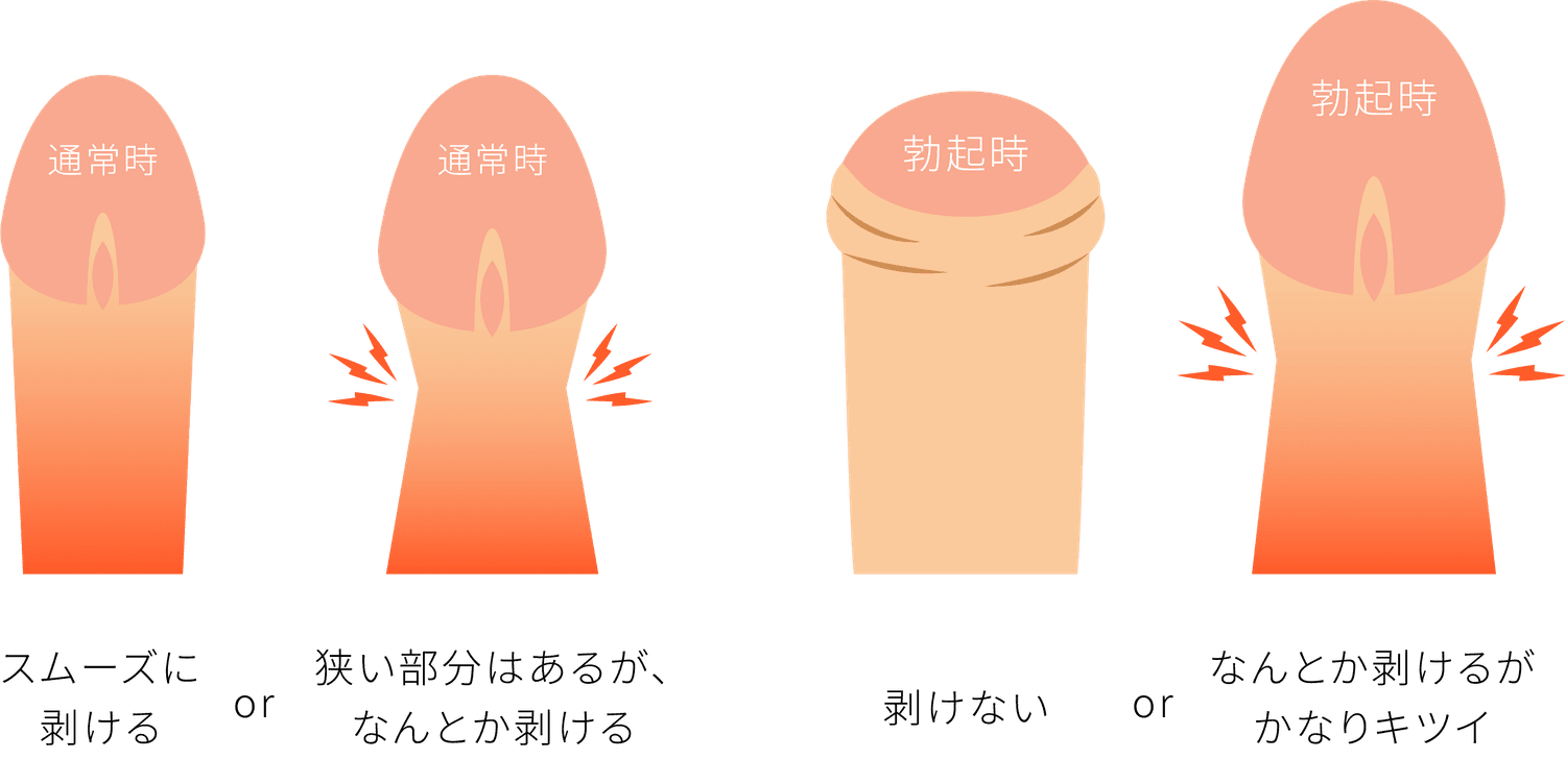 医師が泌尿器科の専門医である事
