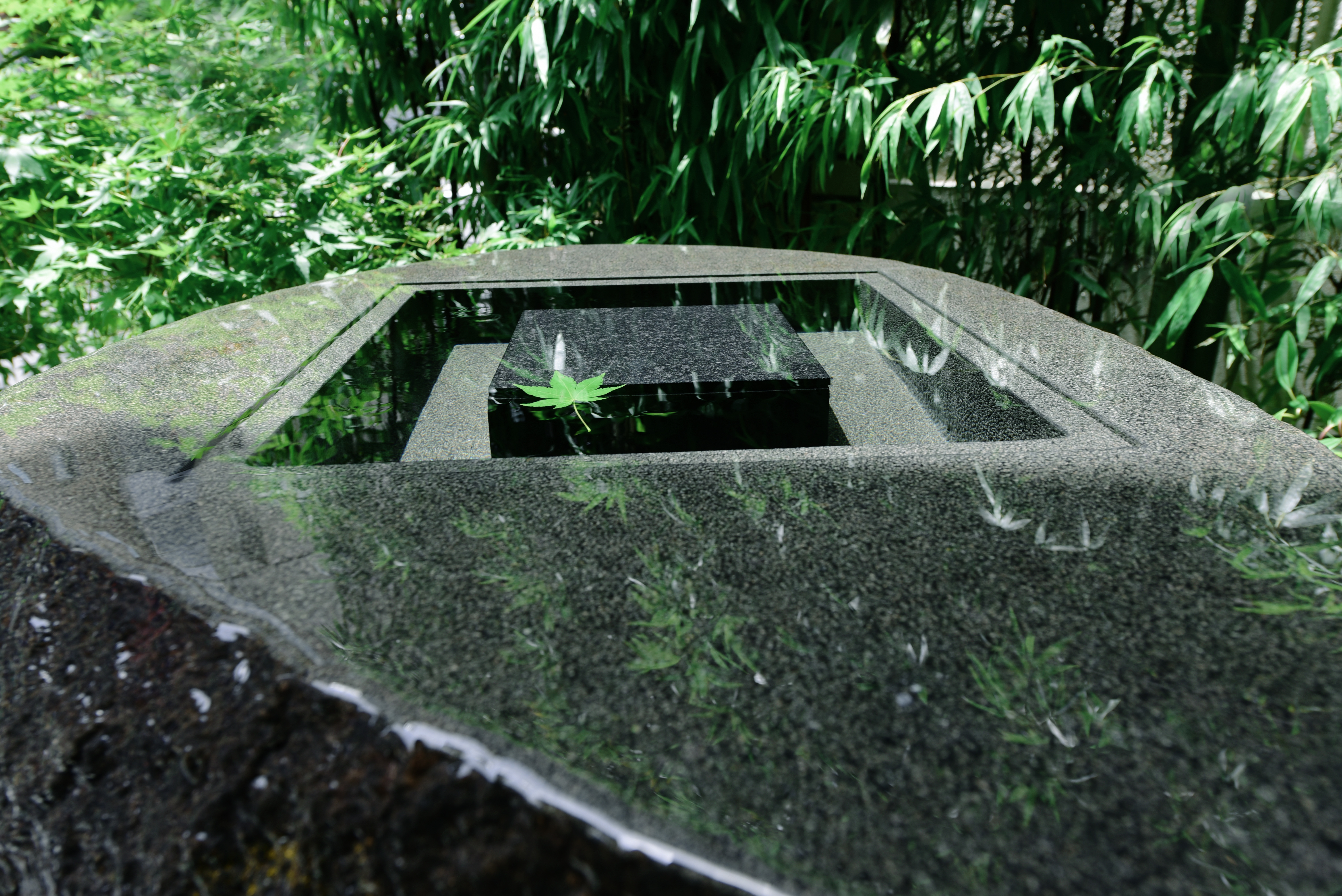 院内風景10