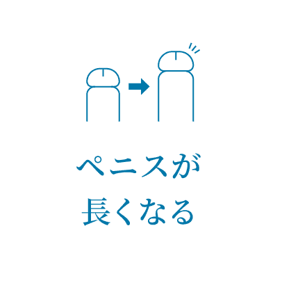 ペニスが長くなる