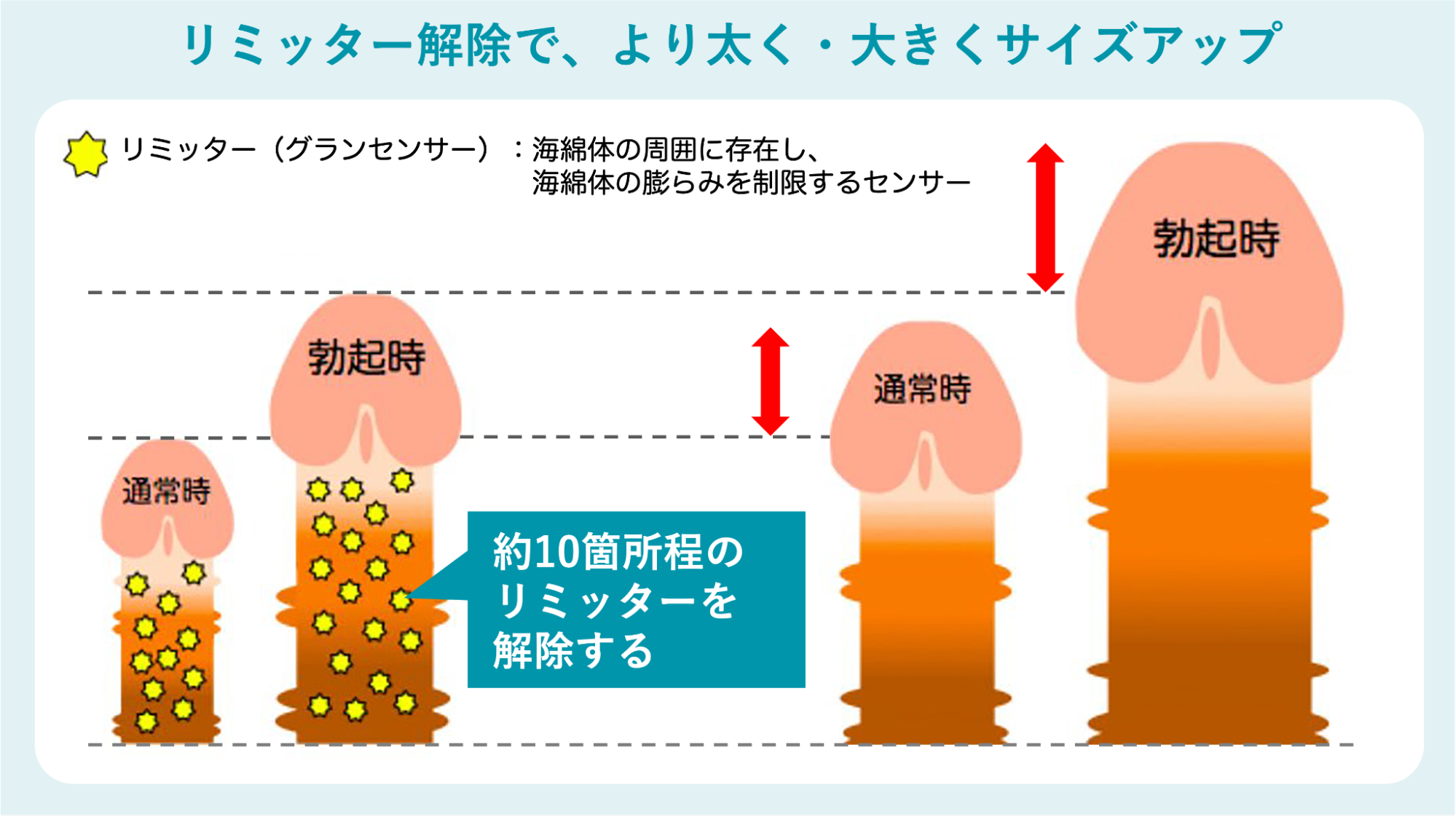リミッター解除でサイズアップしたイメージ