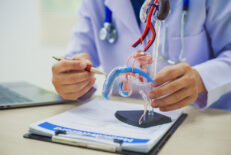 【泌尿器科医監修】海綿体とは？ペニスが大きくなる仕組みを徹底解説