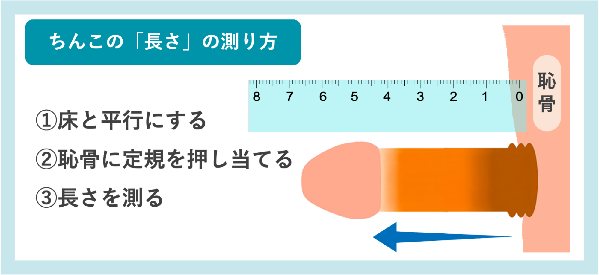 ちんこの「長さ」の測り方