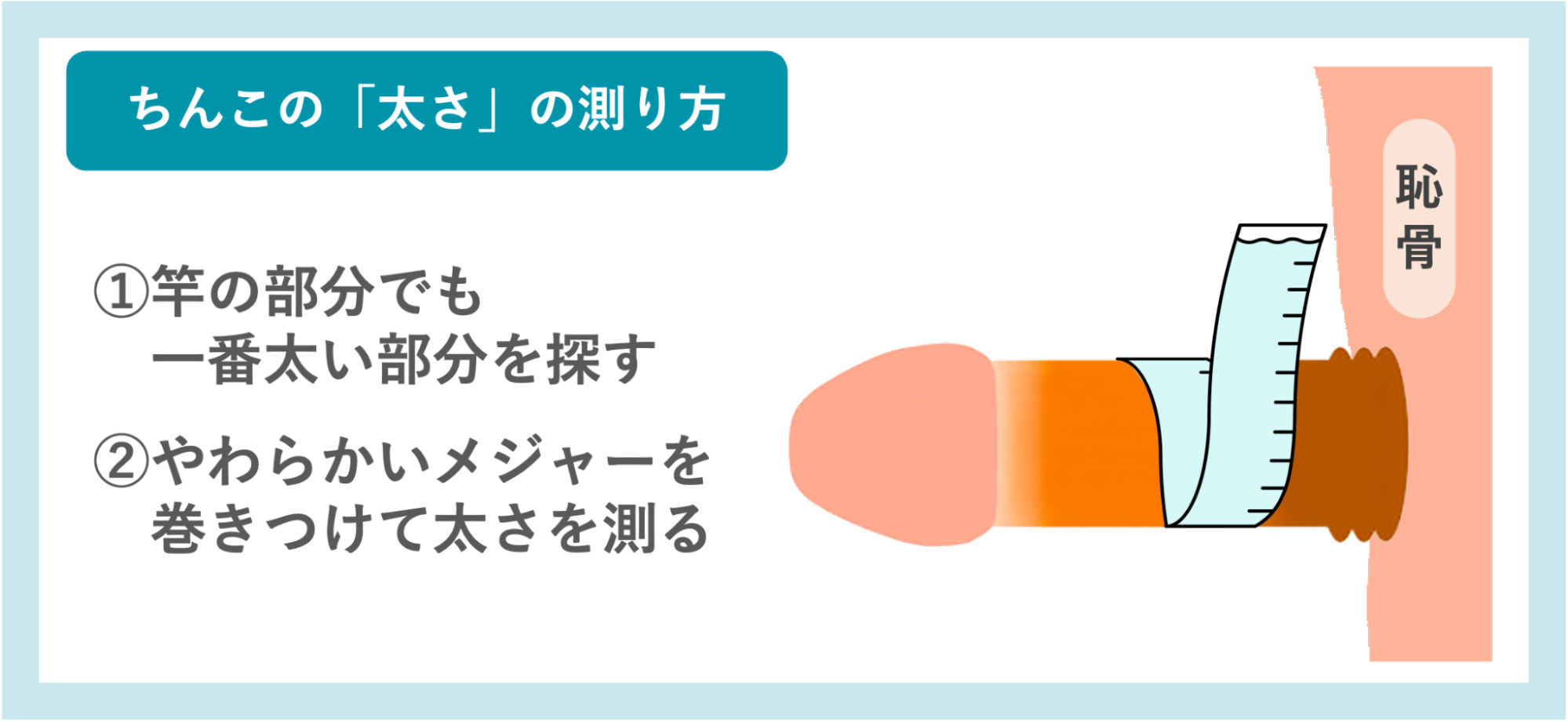 ちんこの「太さ」の測り方