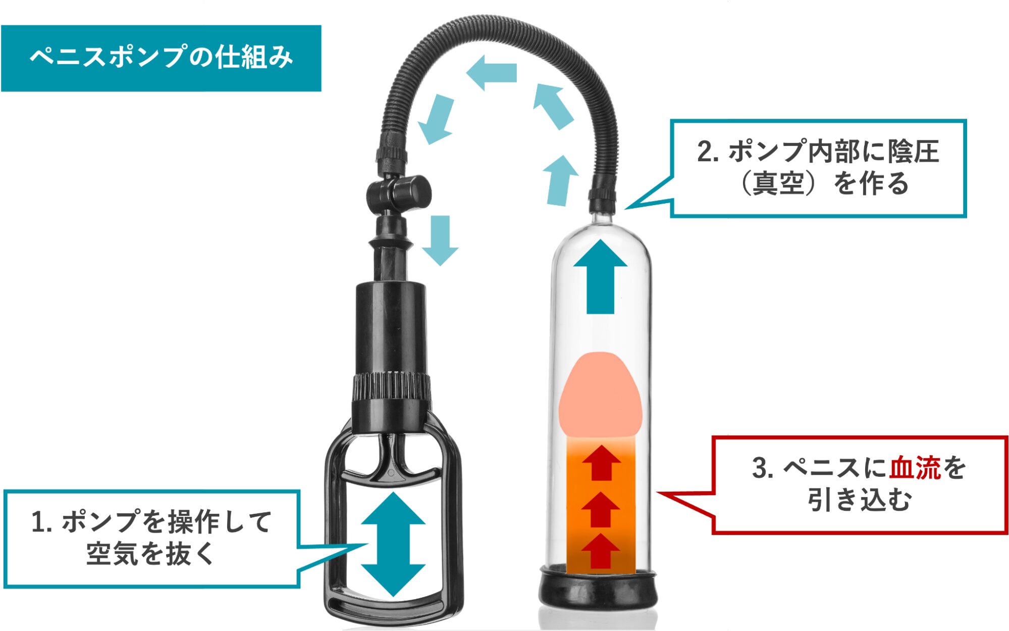 ペニスポンプの仕組みを解説したイメージ