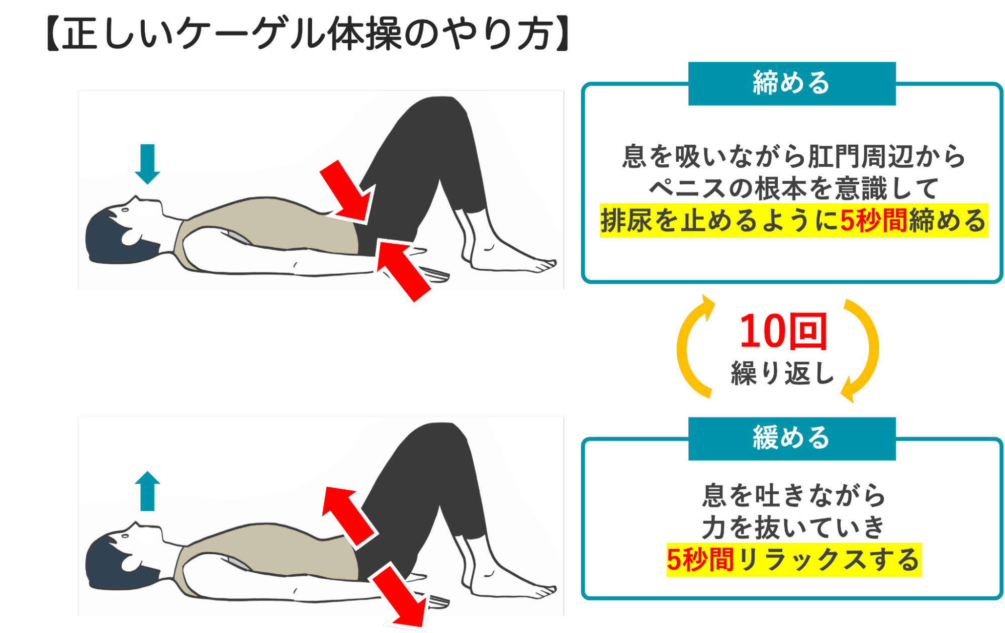正しいケーゲル体操のやり方