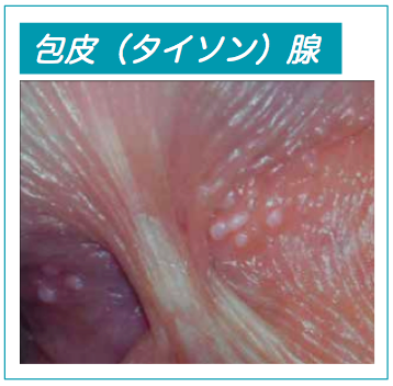 施術写真