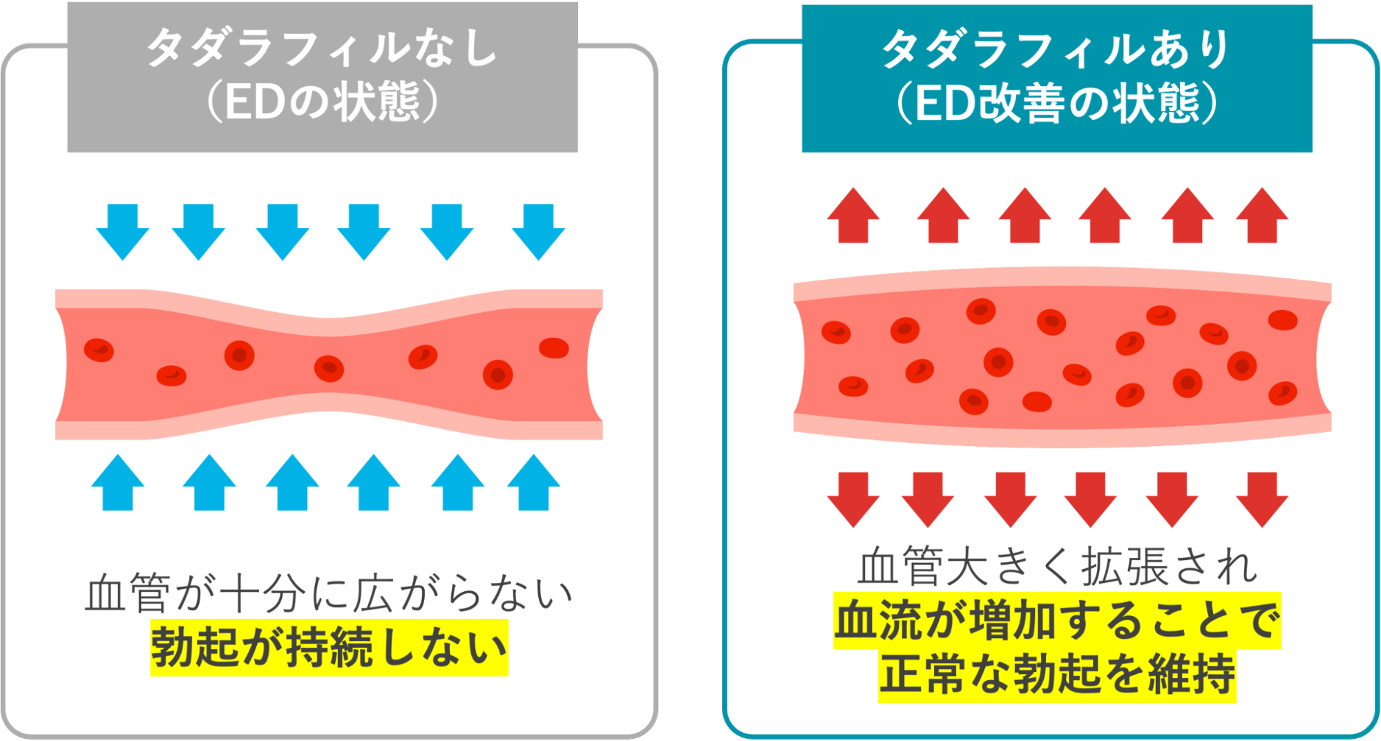 タダラフィルを服用したことによる勃起状態の違い