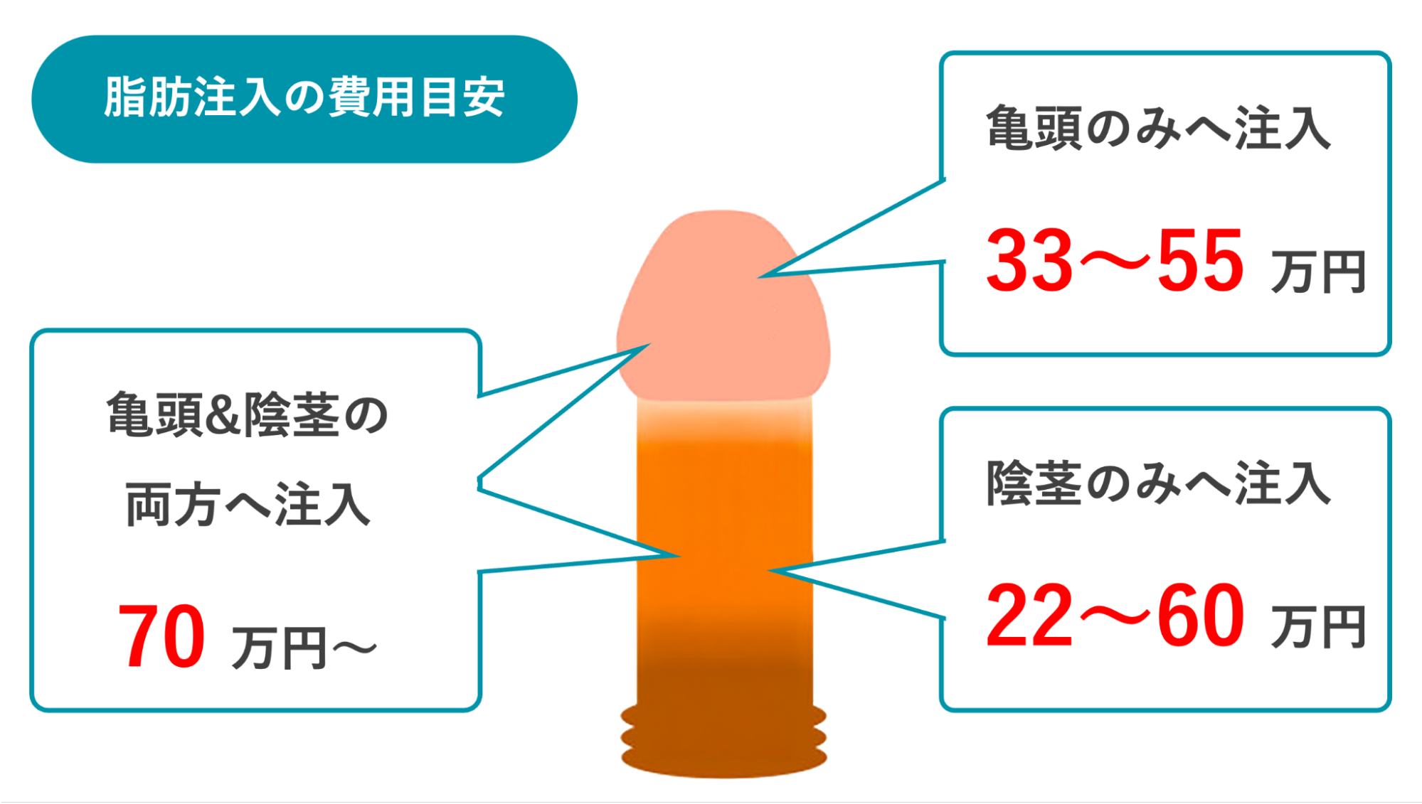 ペニスへの脂肪注入にかかる費用目安