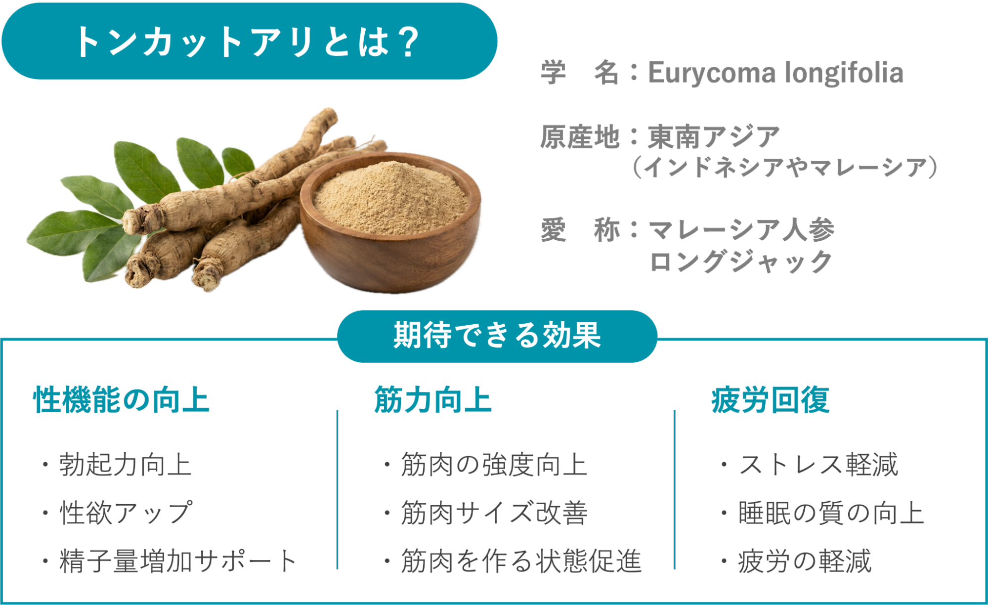 トンカットアリの概要と期待できる効果