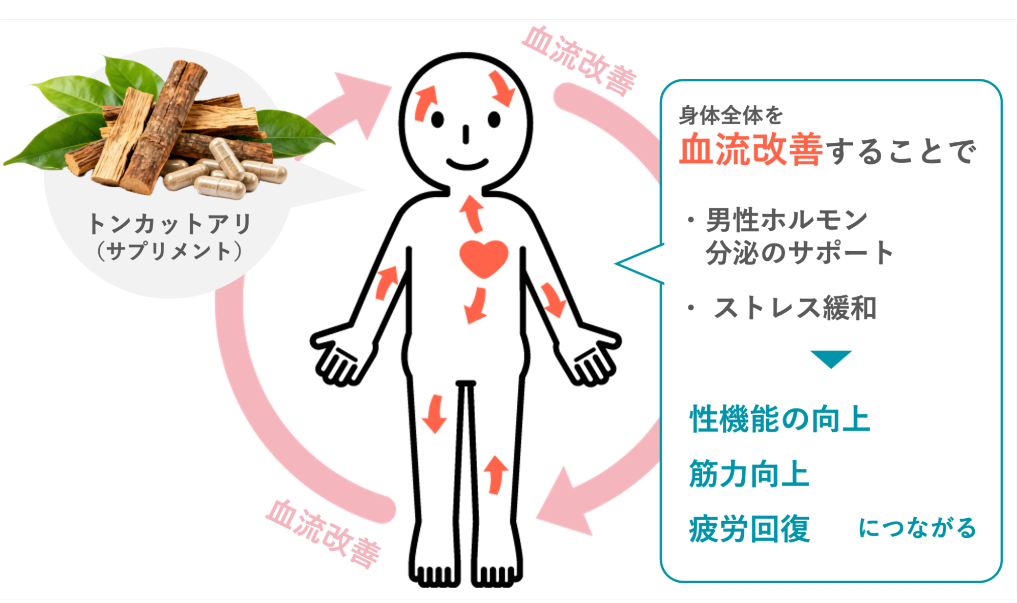 トンカットアリによる改善が見込める症状