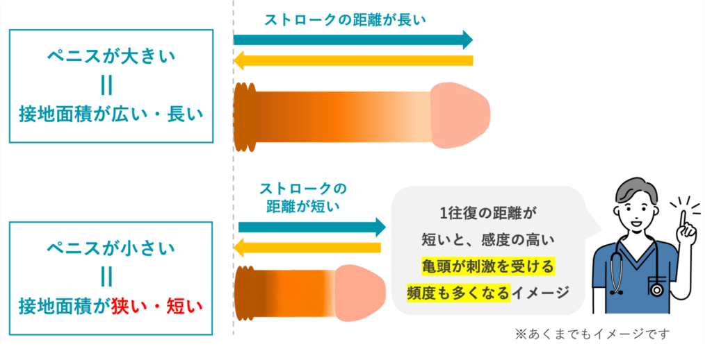 大きいペニスと小さいペニスのストロークの違い