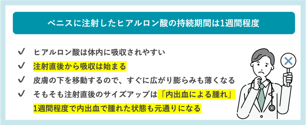 ペニスのヒアルロン酸の持続期間
